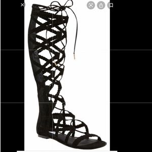 Steve Madden Tall Gladiator (Knee High)
